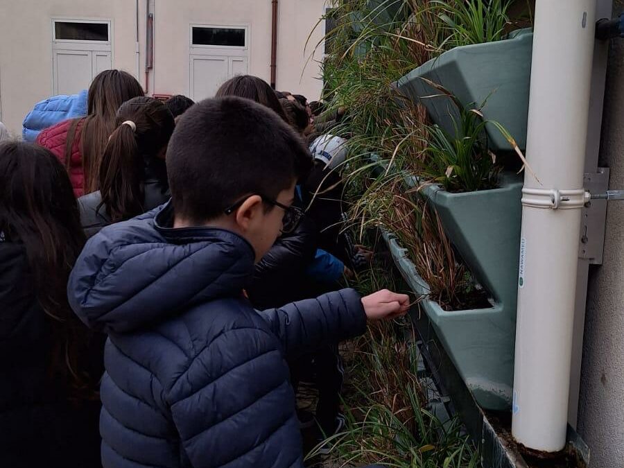 Adapting to climate change through urban regeneration: a possible future in Ferla